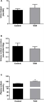 Tamoxifen Decreases Lithium-Induced Natriuresis in Rats With Nephrogenic Diabetes Insipidus